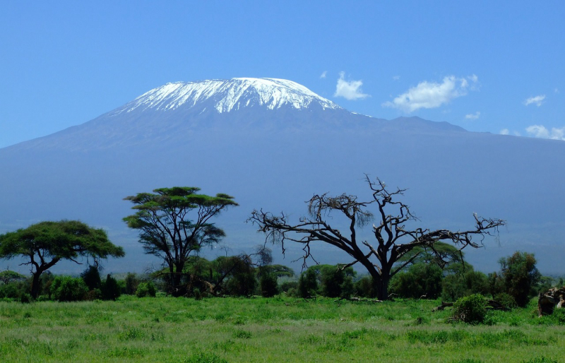 Kilimandżaro zdobyte razem z Concordią